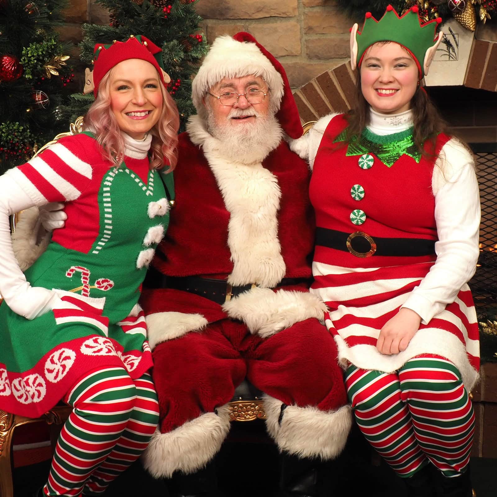 Hire Santa Elves Hire Santa and Elves